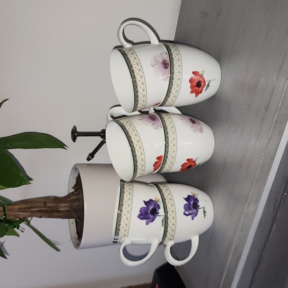 Mikasa Poppy Memory Cups set of 6